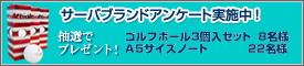 サーバブランドアンケート